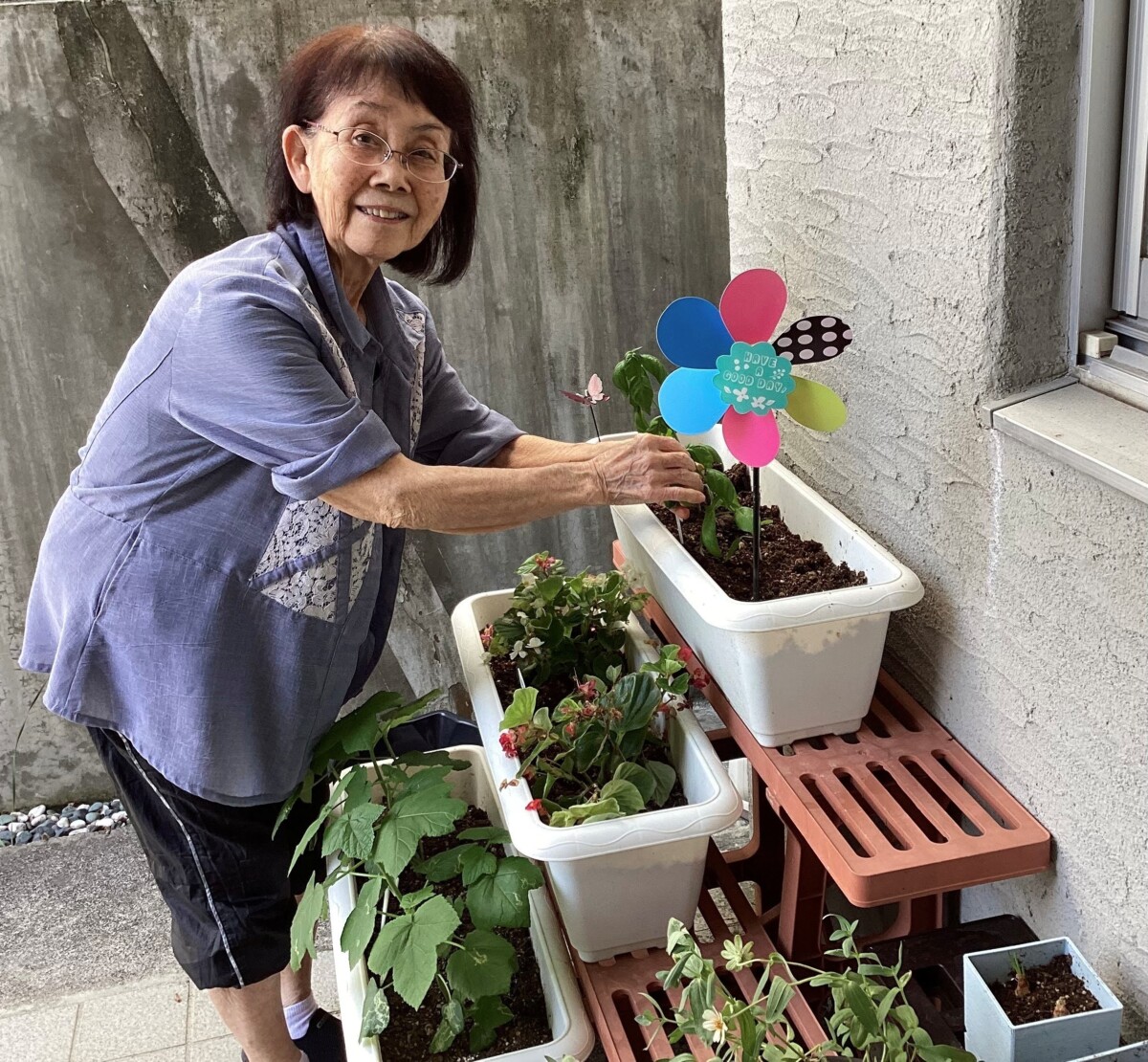 自作バジルで自家製ピザパーティー｜グループホームめぐみ首里　ウェルケア沖縄
