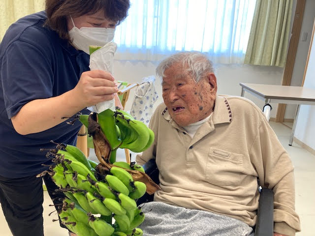 庭のバナナ収穫｜グループホームめぐみ首里　ウェルケア沖縄