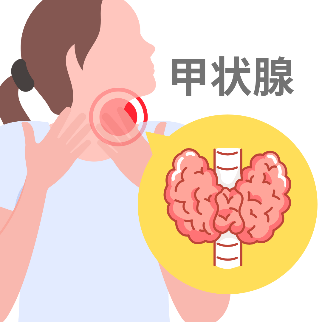 内分泌 甲状腺 のご相談なら|那覇セントラルクリニック