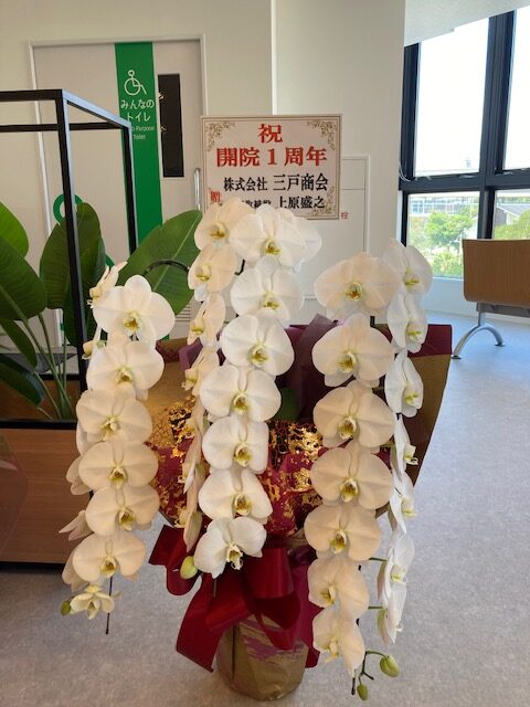 開院１周年に際し、お祝いのお花も頂戴いたしました｜那覇セントラルクリニック